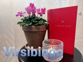 Virsibingo